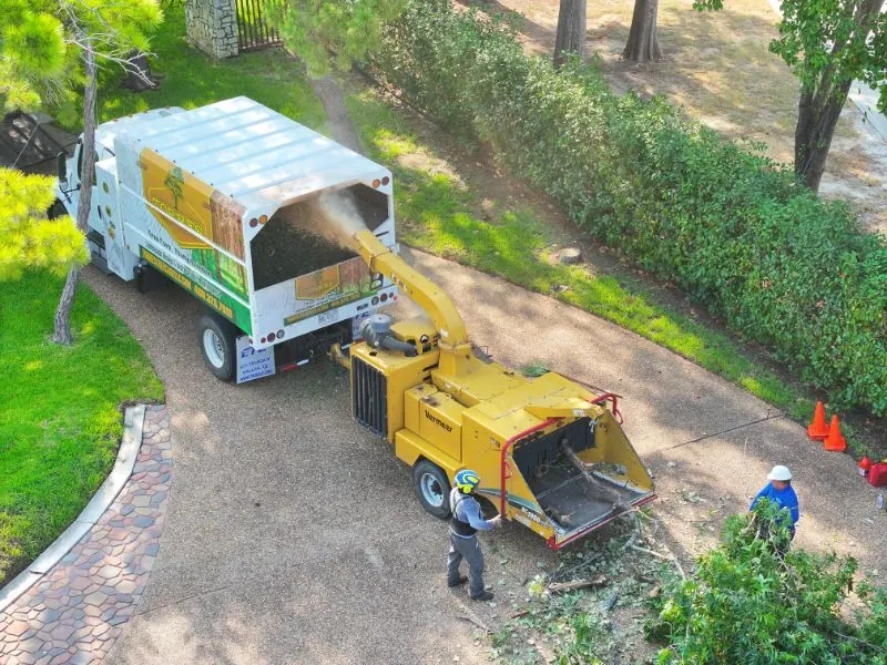 Torres Tree Service crew feeding branches into a wood chipper beside the company chip truck