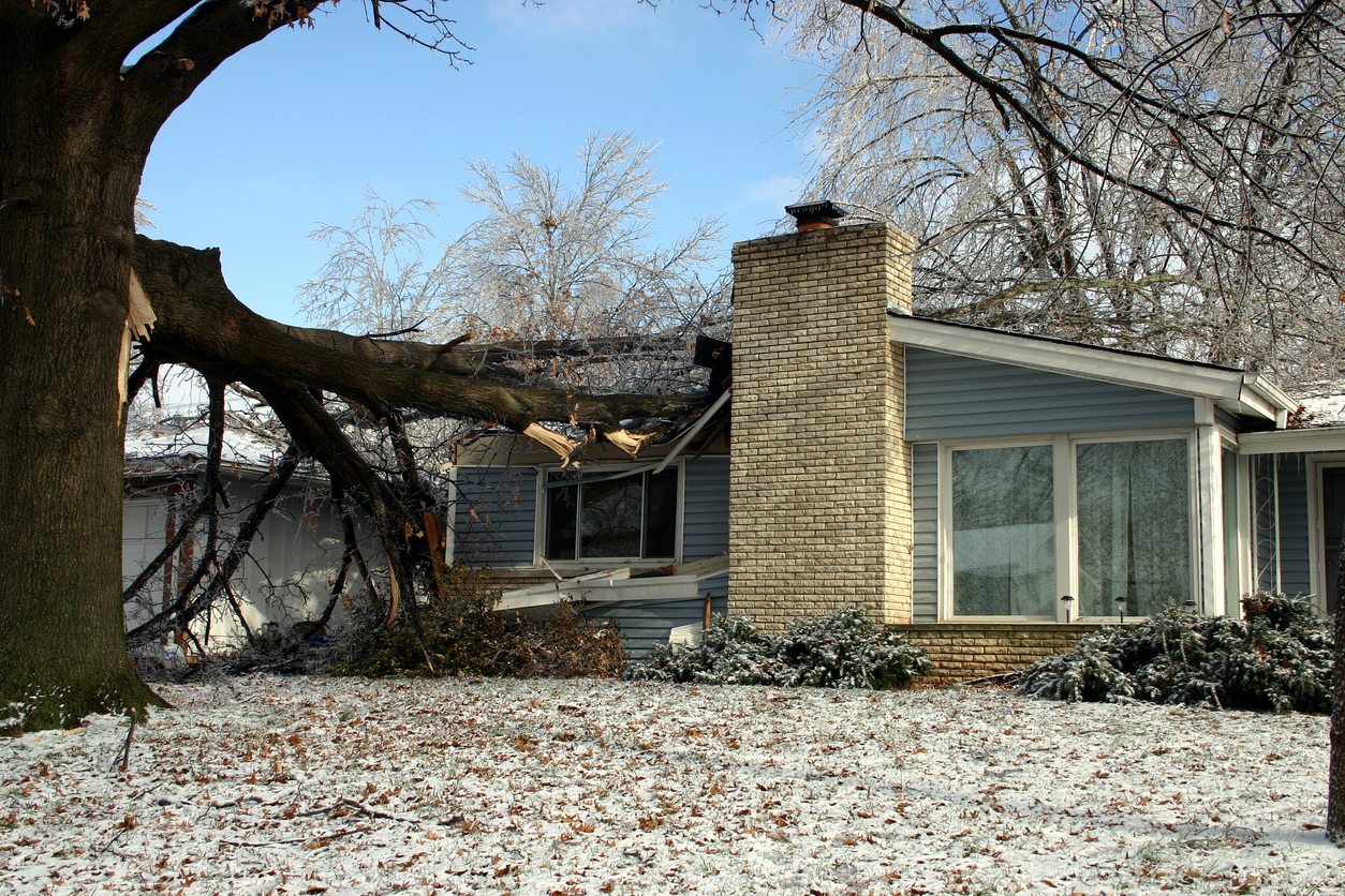 torres-tree-services-llc-dallas-fort-worth