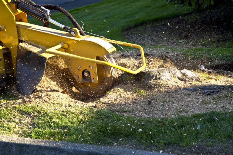 stump grinding service flower mound