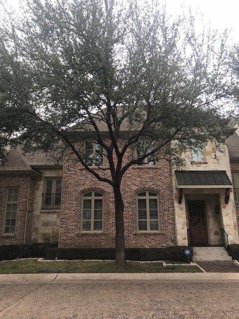 torres-tree-services-llc-dallas-fort-worth-crew