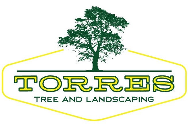 torres tree service logo