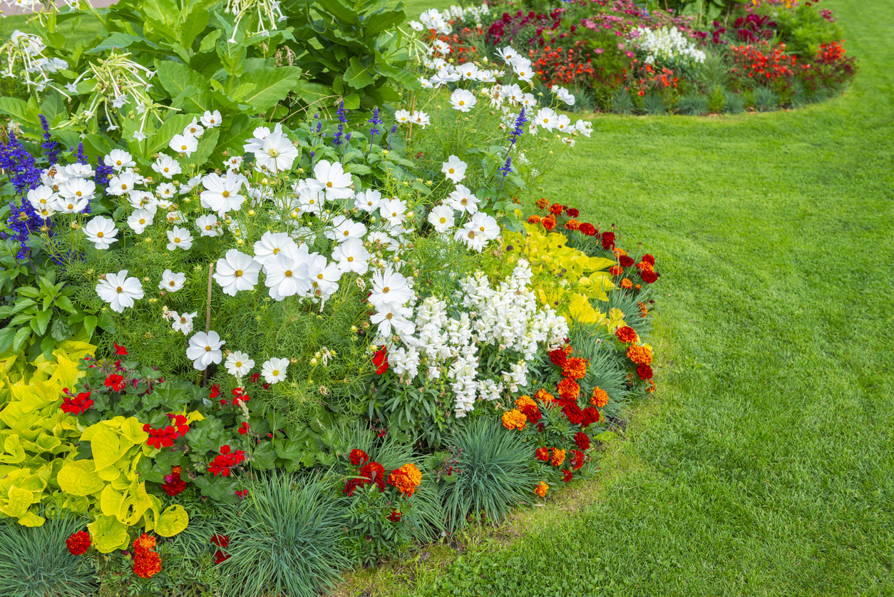 A variation of flowers in a beautiful flowerbed on a lawn. A variation of flowers in a beautiful flowerbed on a lawn.