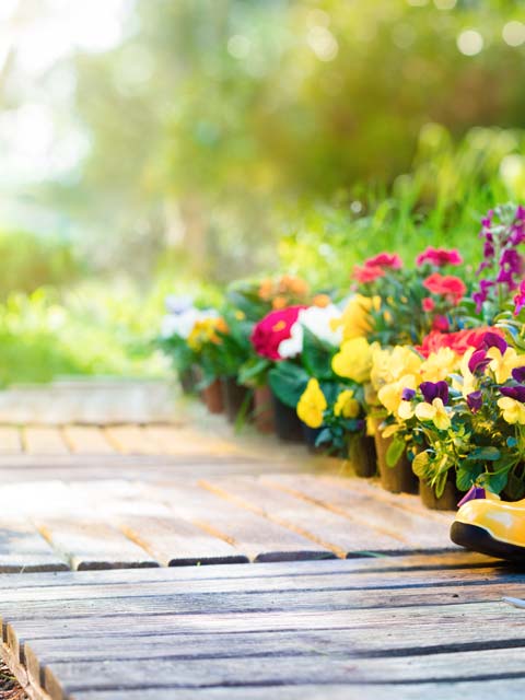 planting-2