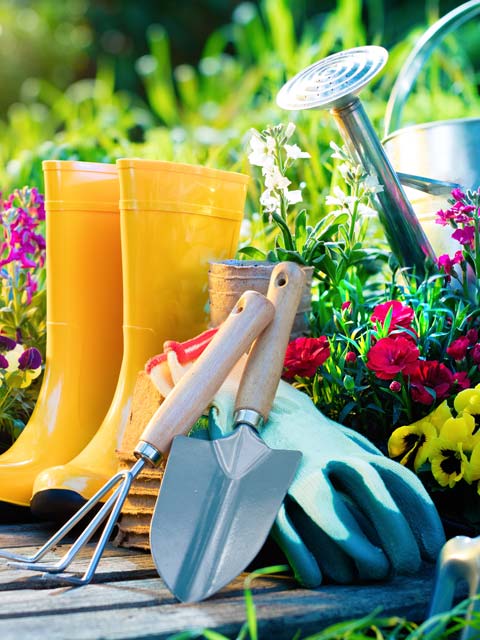 planting-3