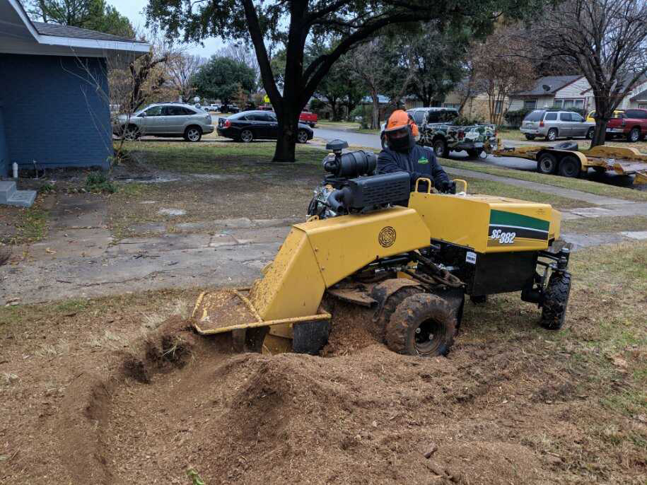 stump removal