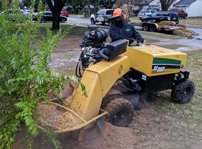 irving stump grinding professionals