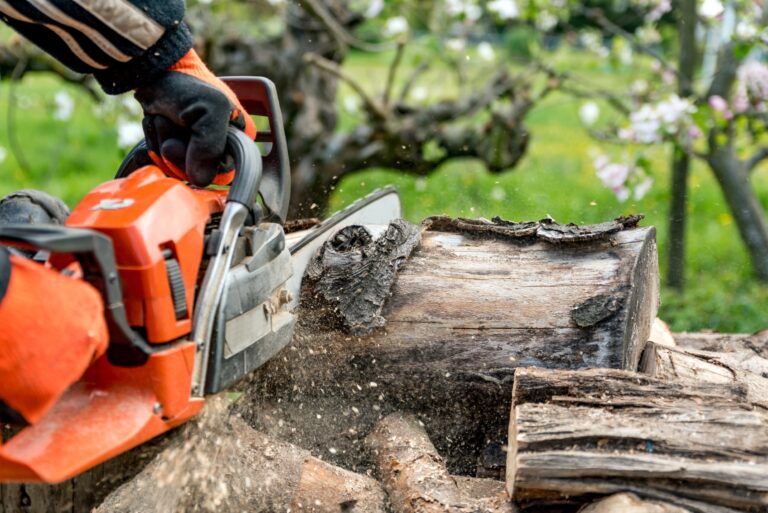 tree removal grapevine