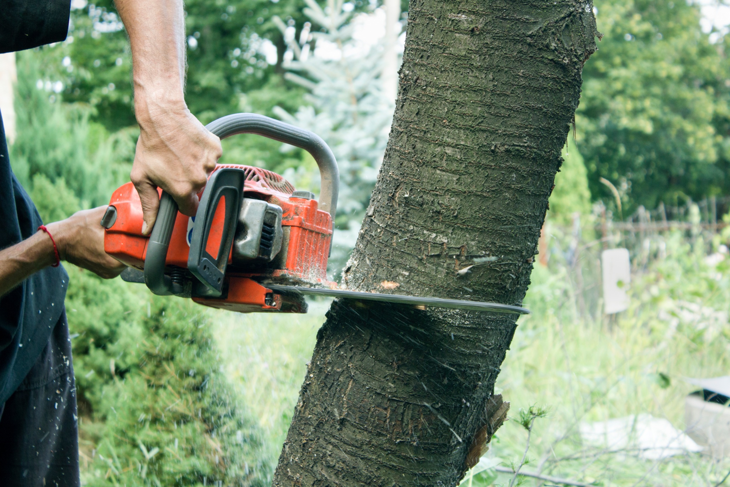 flower mound tx tree removal