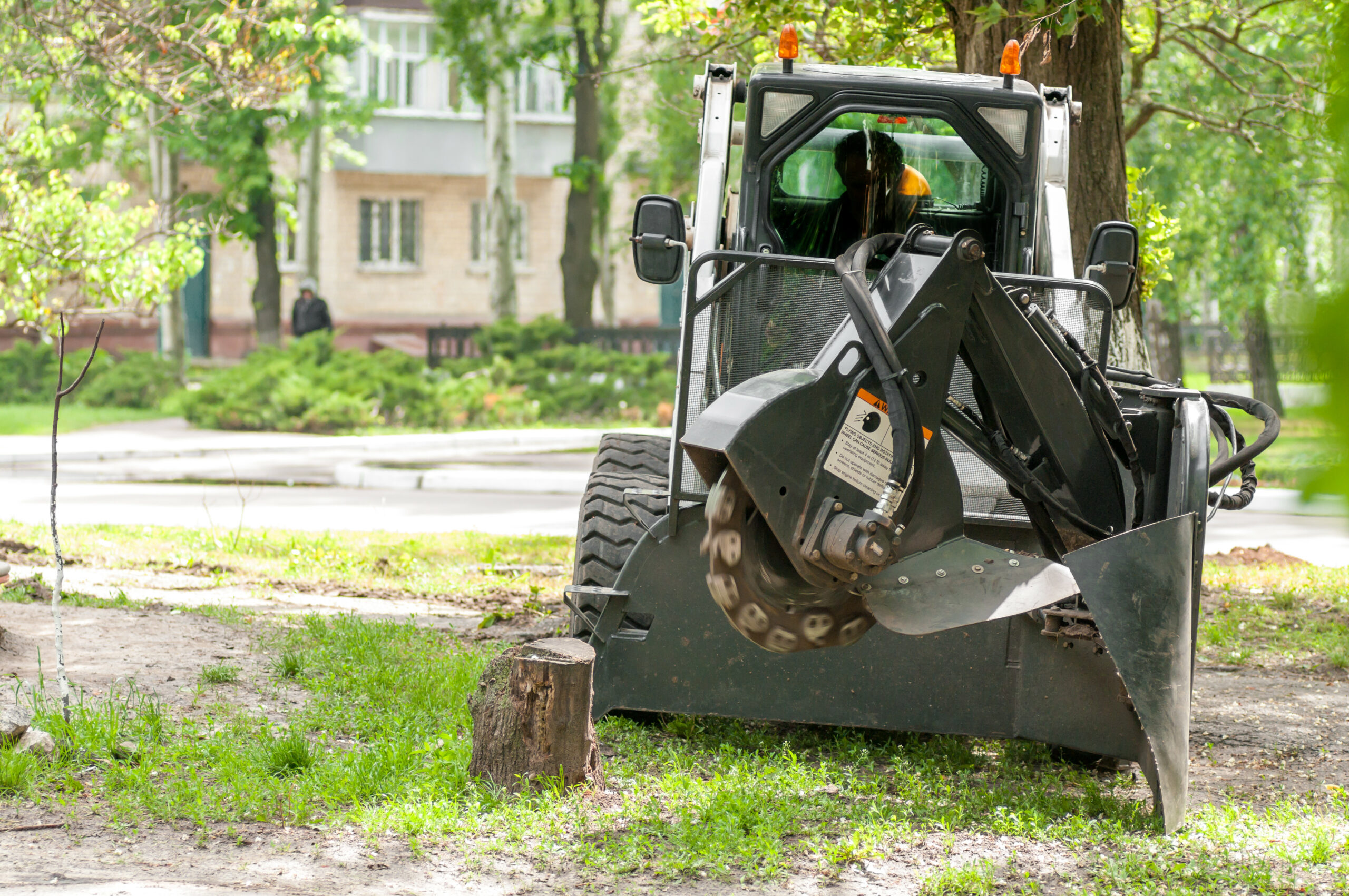 stump grinding grapevine