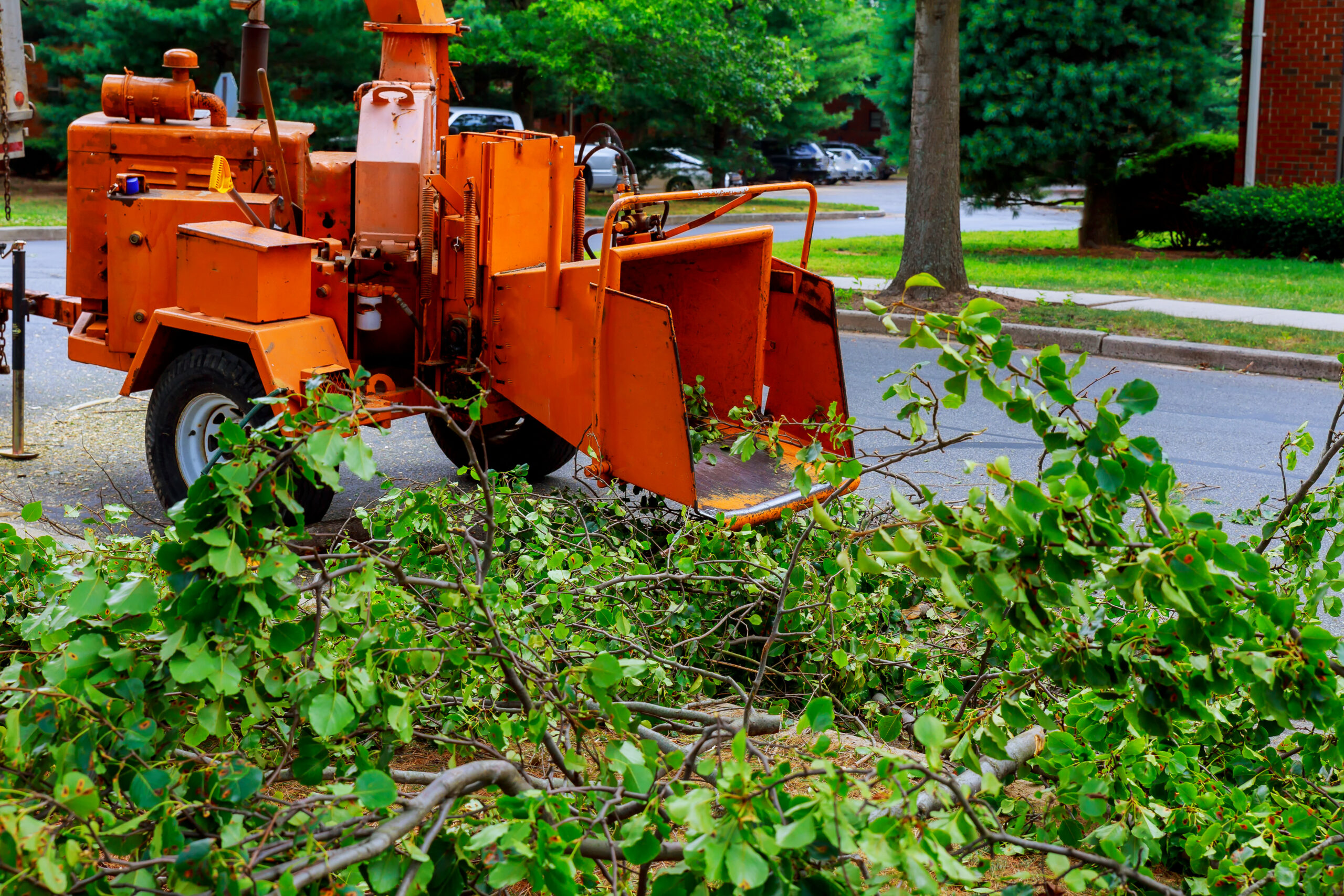 why is tree trimming so expensive