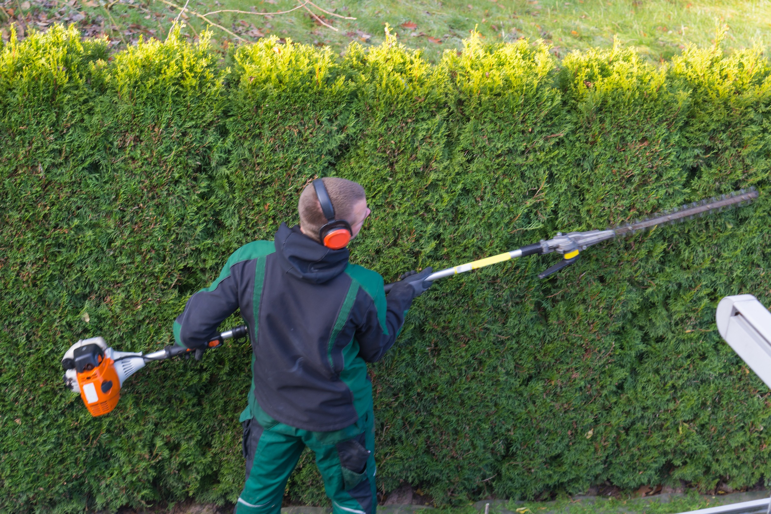 flower mound tree trimming