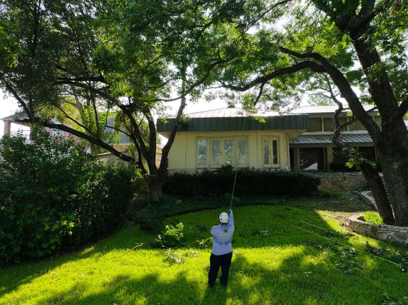 shrub and tree trimming in DFW