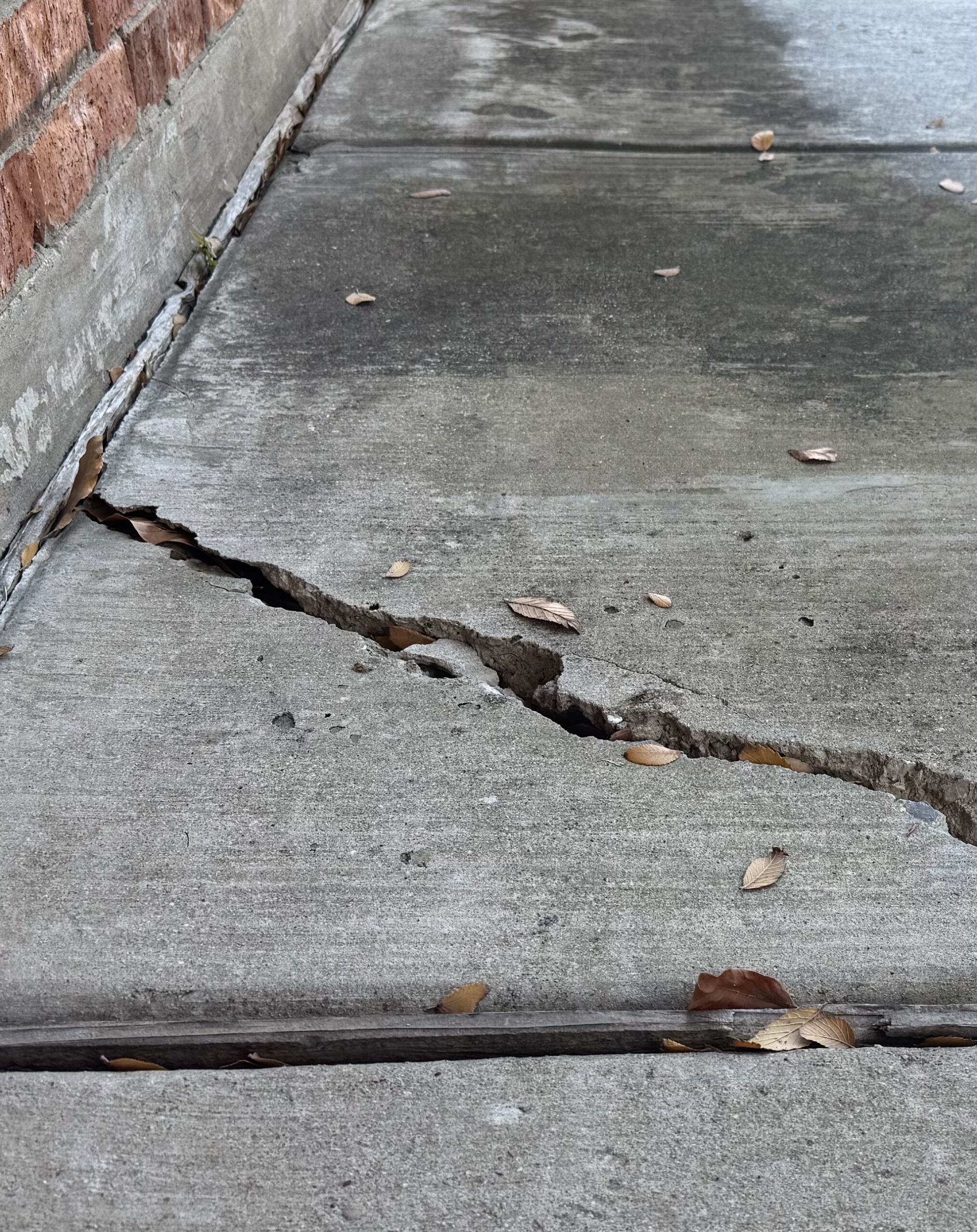 foundation cracks