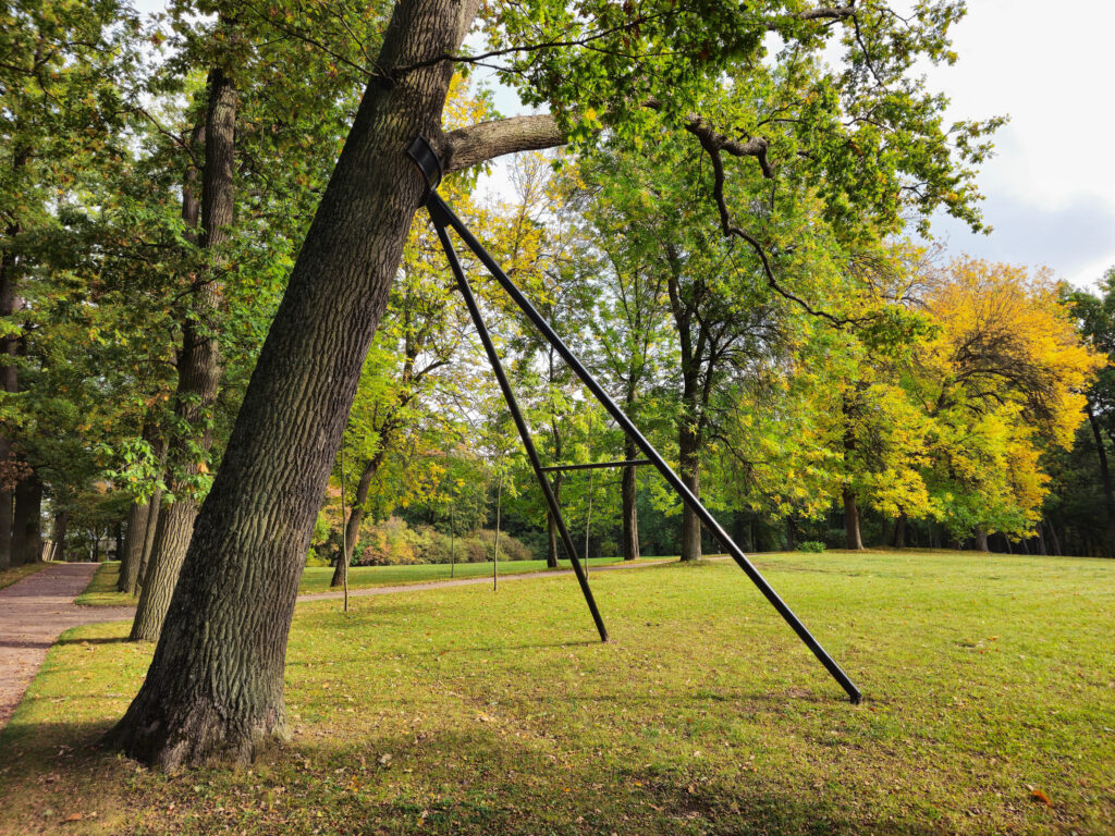support for tree